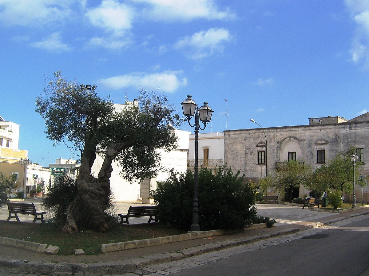 nucleo storico, di pianura, a scacchiera, difensivo, agricolo, Castrignano del Capo, Terra , Castrignano