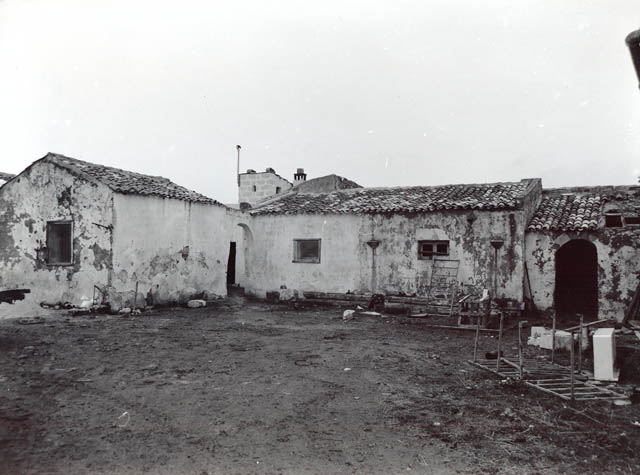 La fica