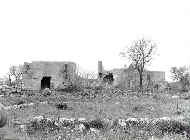 Malevindi