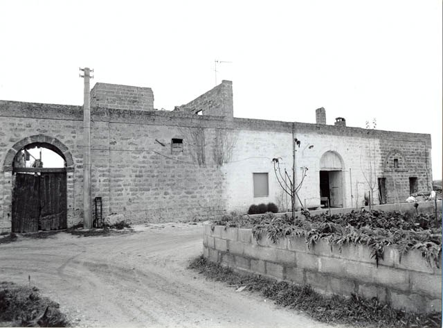 Paradisi