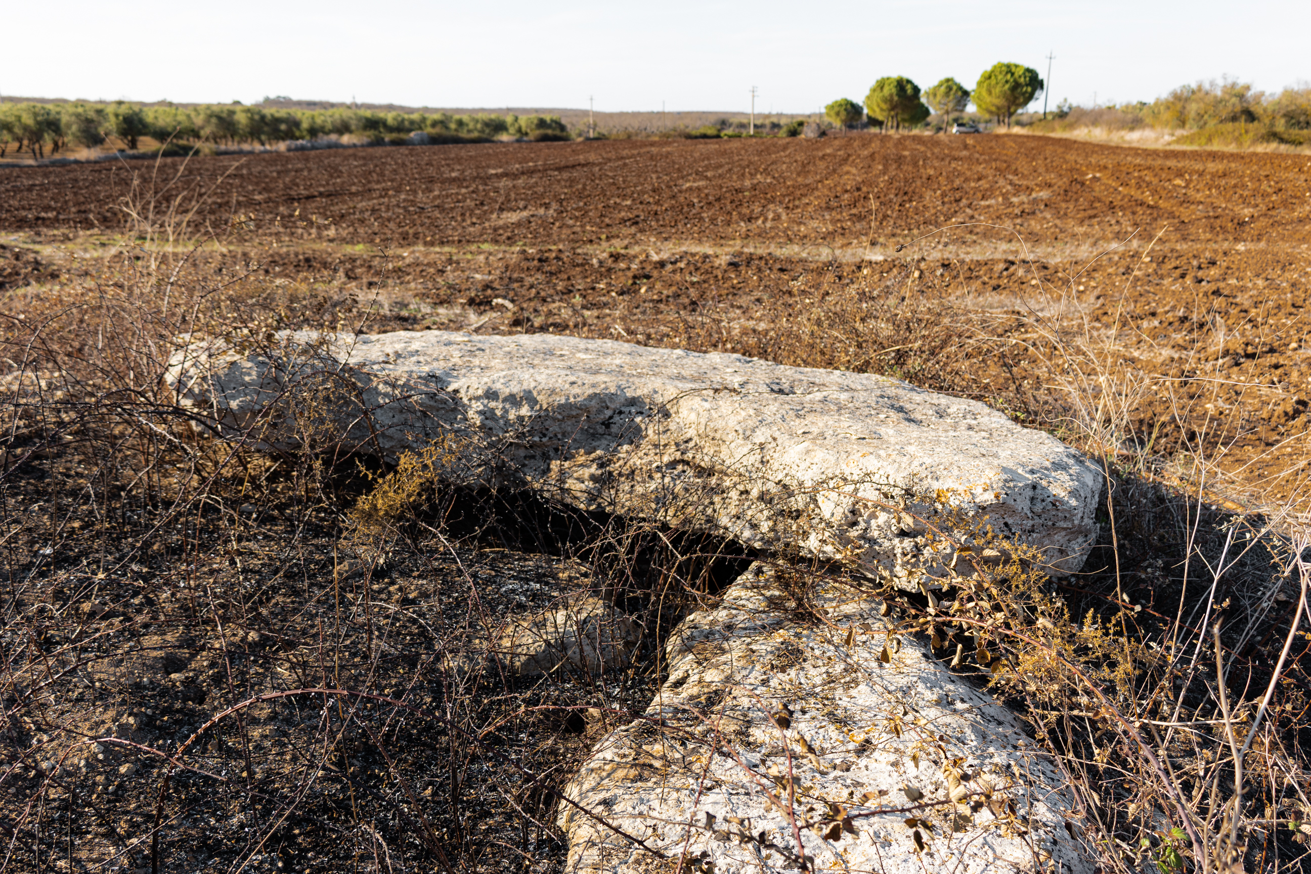 dolmen, Dolmen Chiancuse
