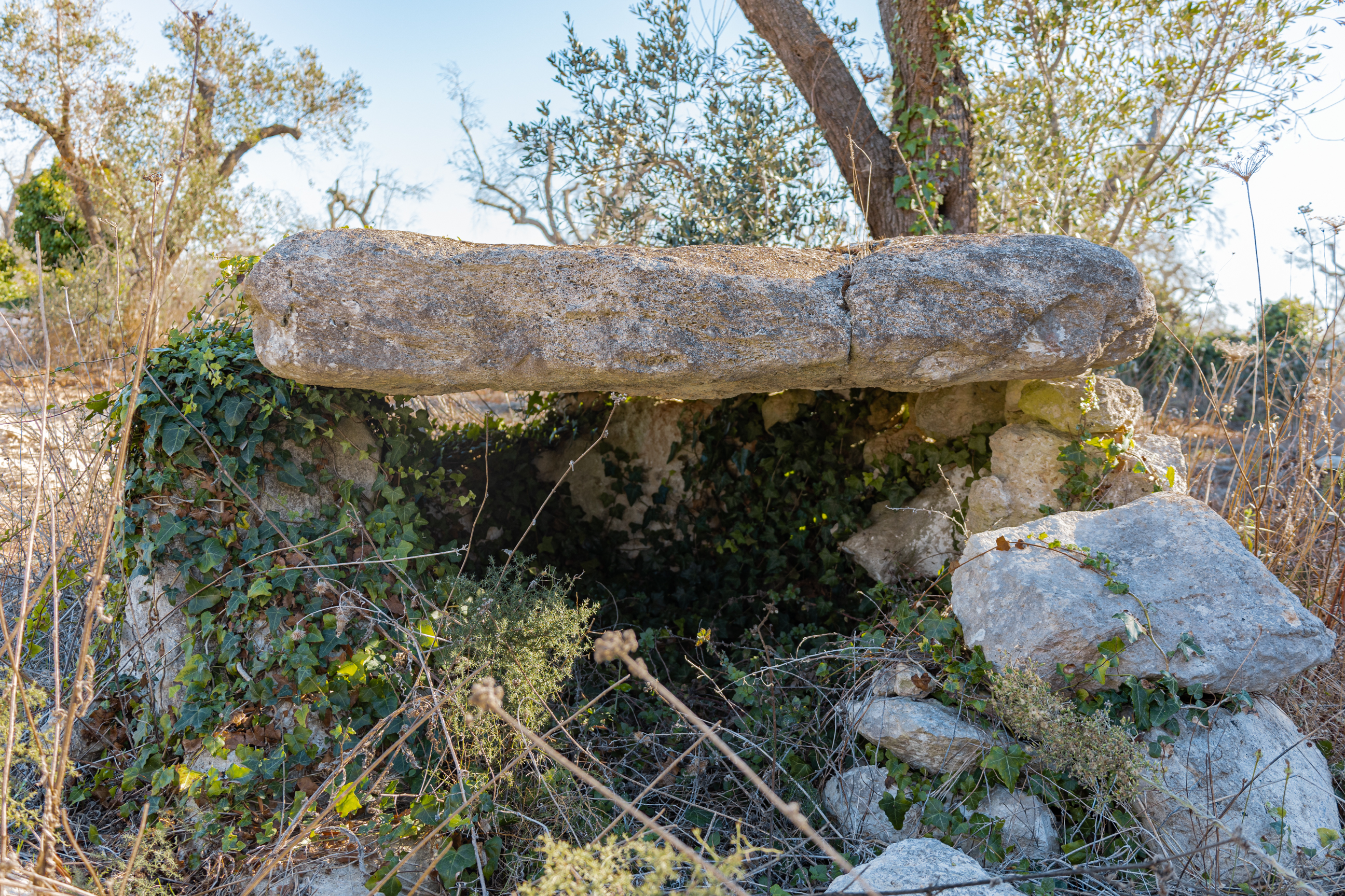 dolmen, Dolmen Grassi