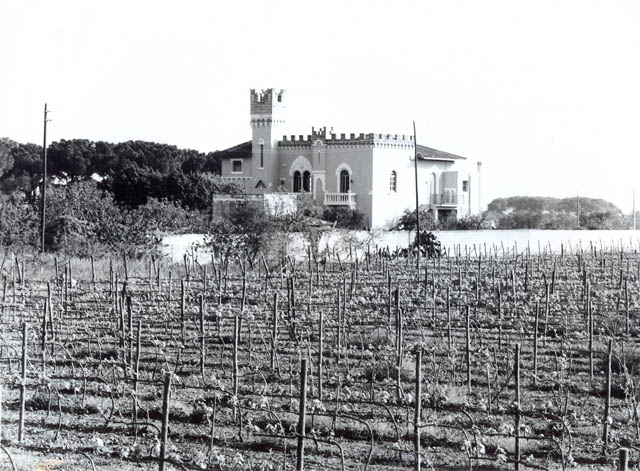 Apollonio
