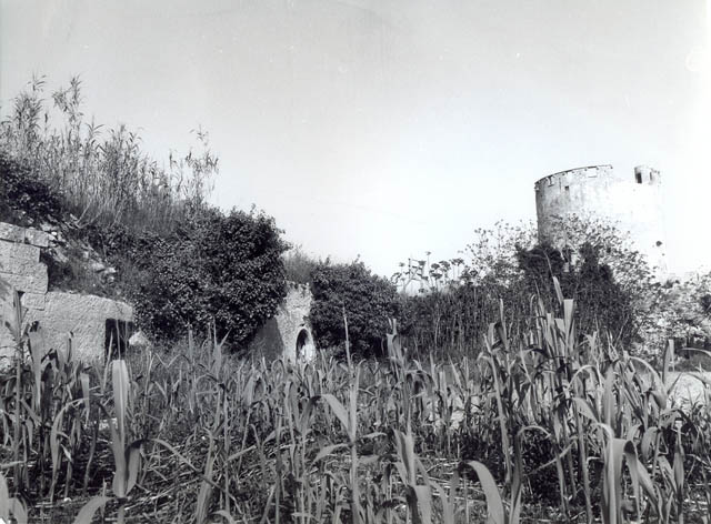 Ninfeo di Belloluogo