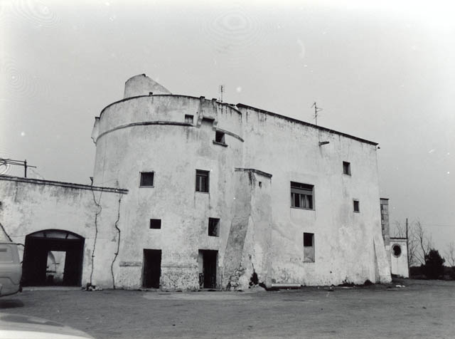 Vittorio