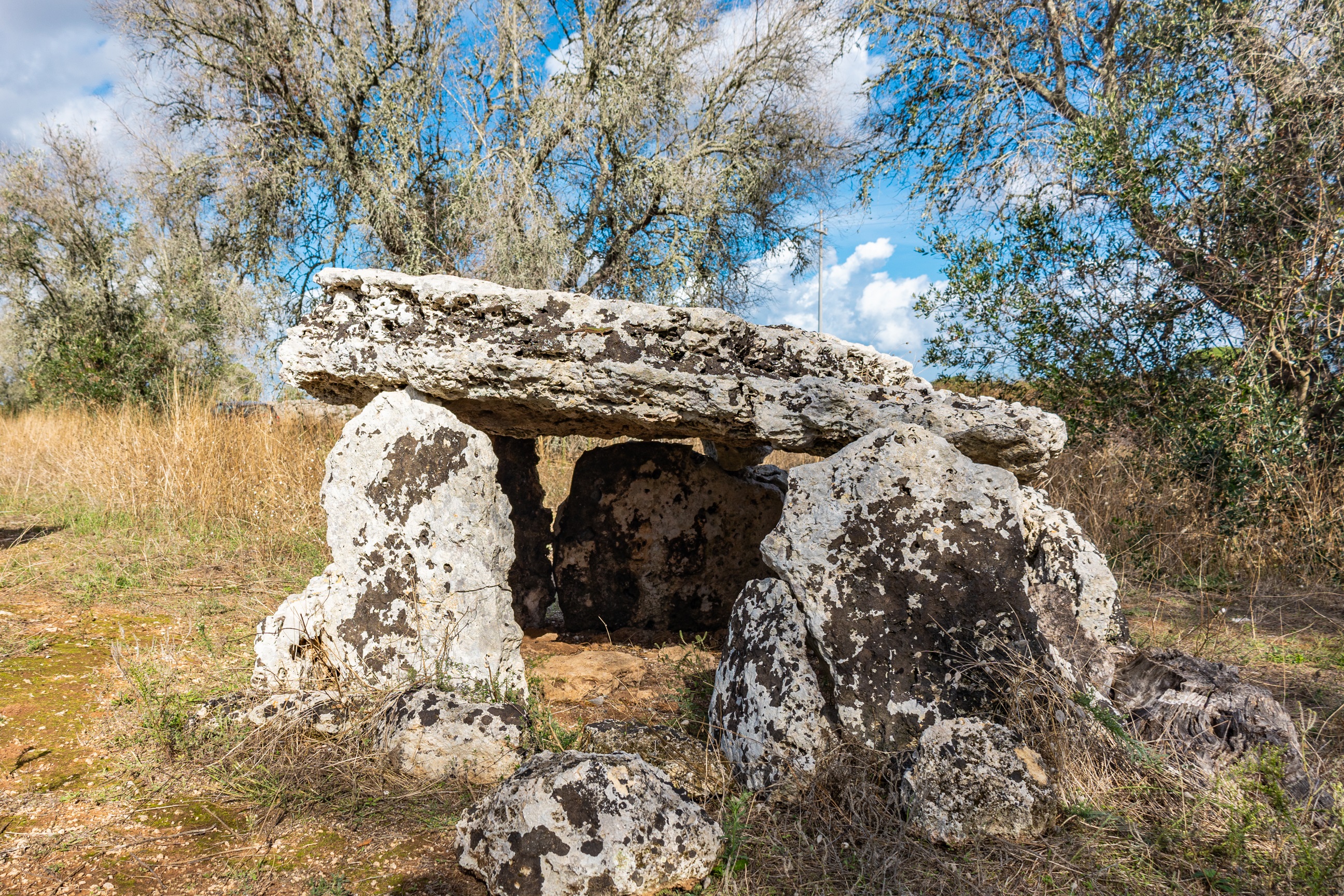dolmen, Dolmen Placa