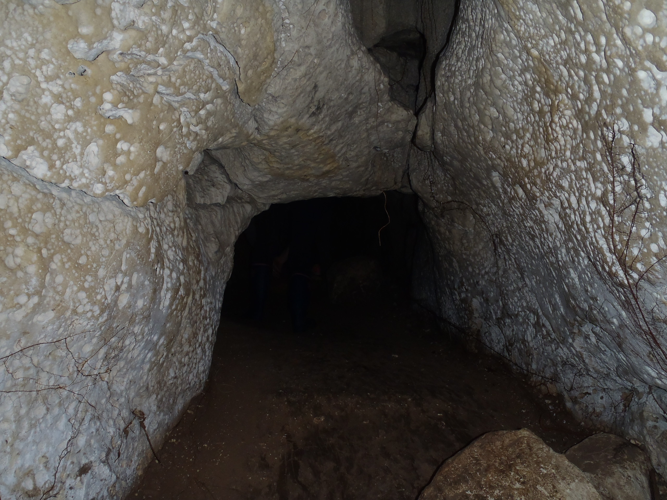 giacimento in cavità naturale, frequentazione antropica, Grotta del Fico