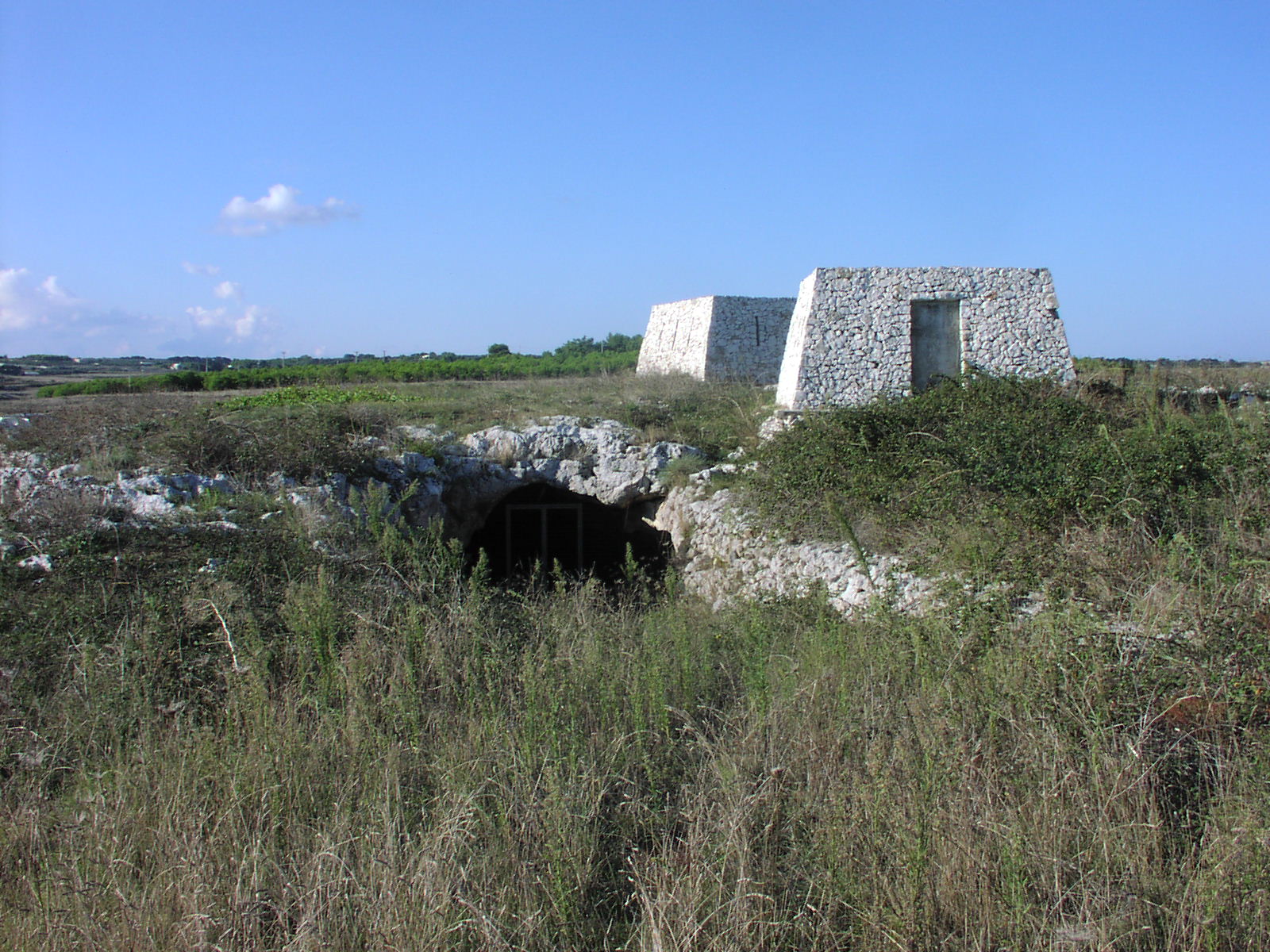 giacimento in cavità naturale, frequentazione antropica, arte parietale, Grotta dei Cervi