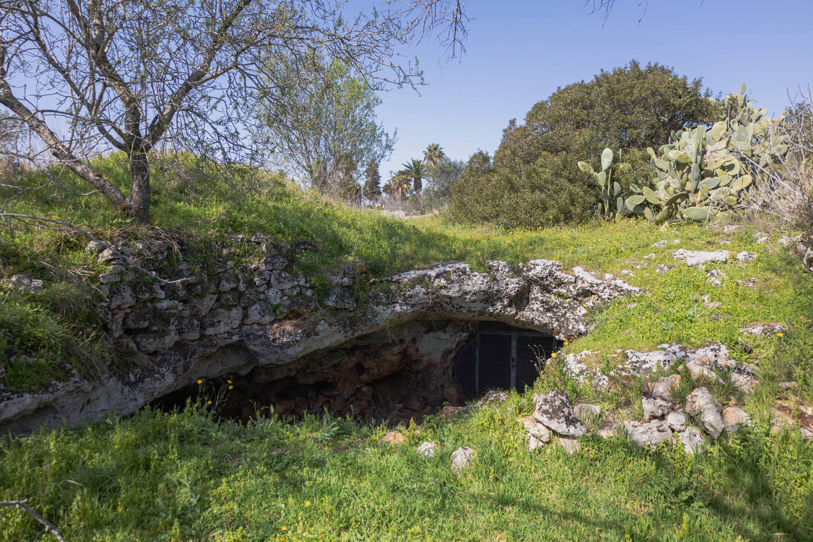 giacimento in cavità naturale, frequentazione antropica, Grotta delle Veneri