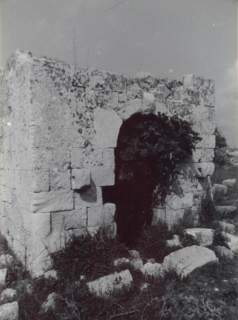 Frantoio ipogeo della Masseria Galati