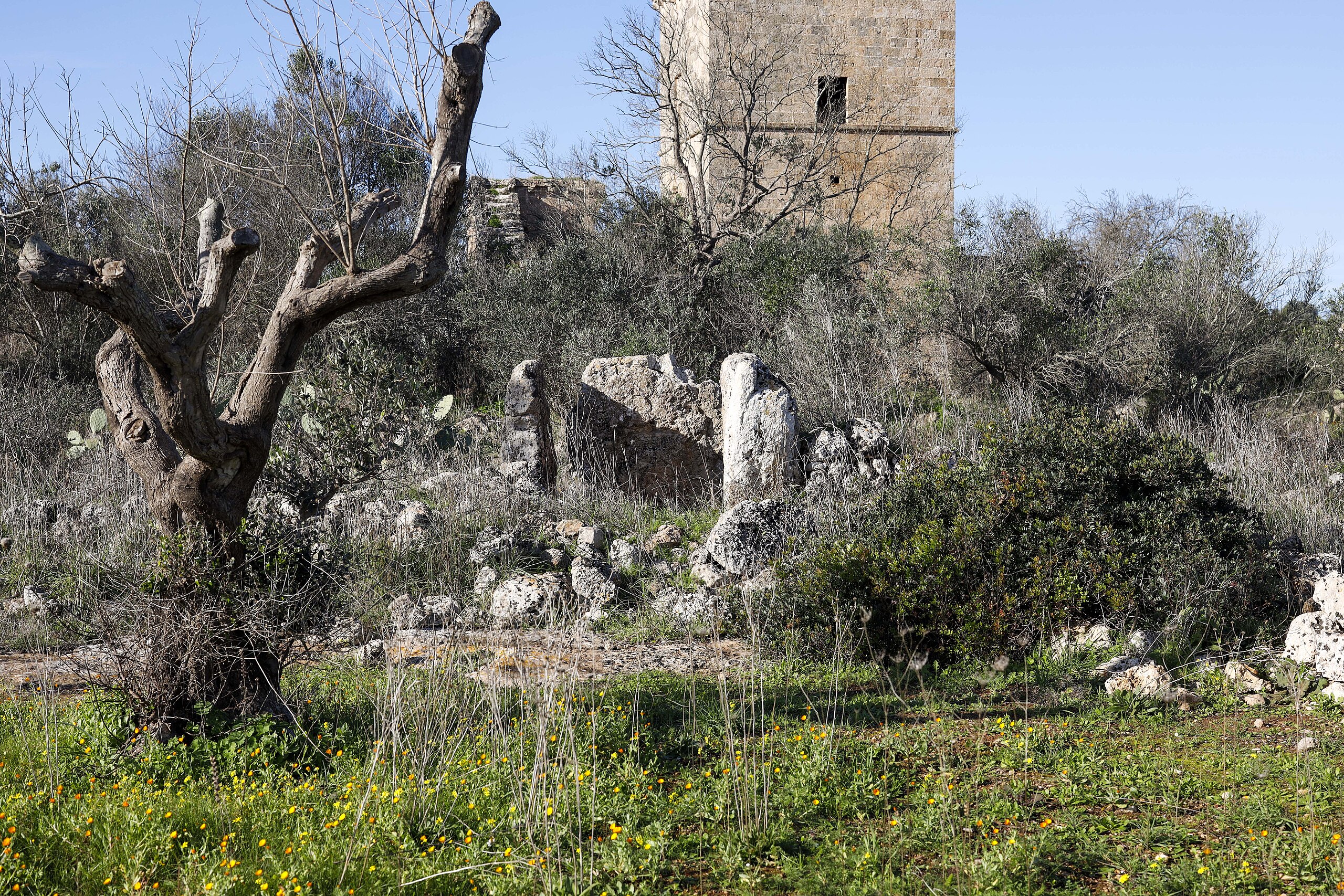 dolmen, Dolmen Torre Ospina