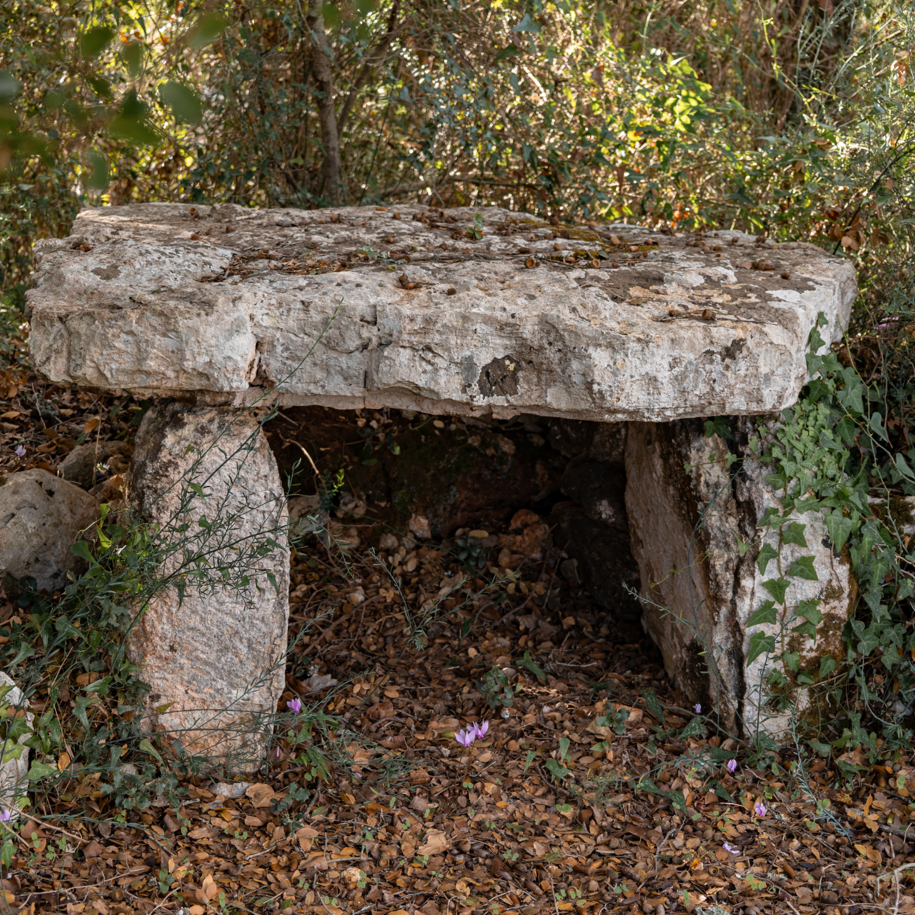dolmen, Dolmen Piedi Grandi