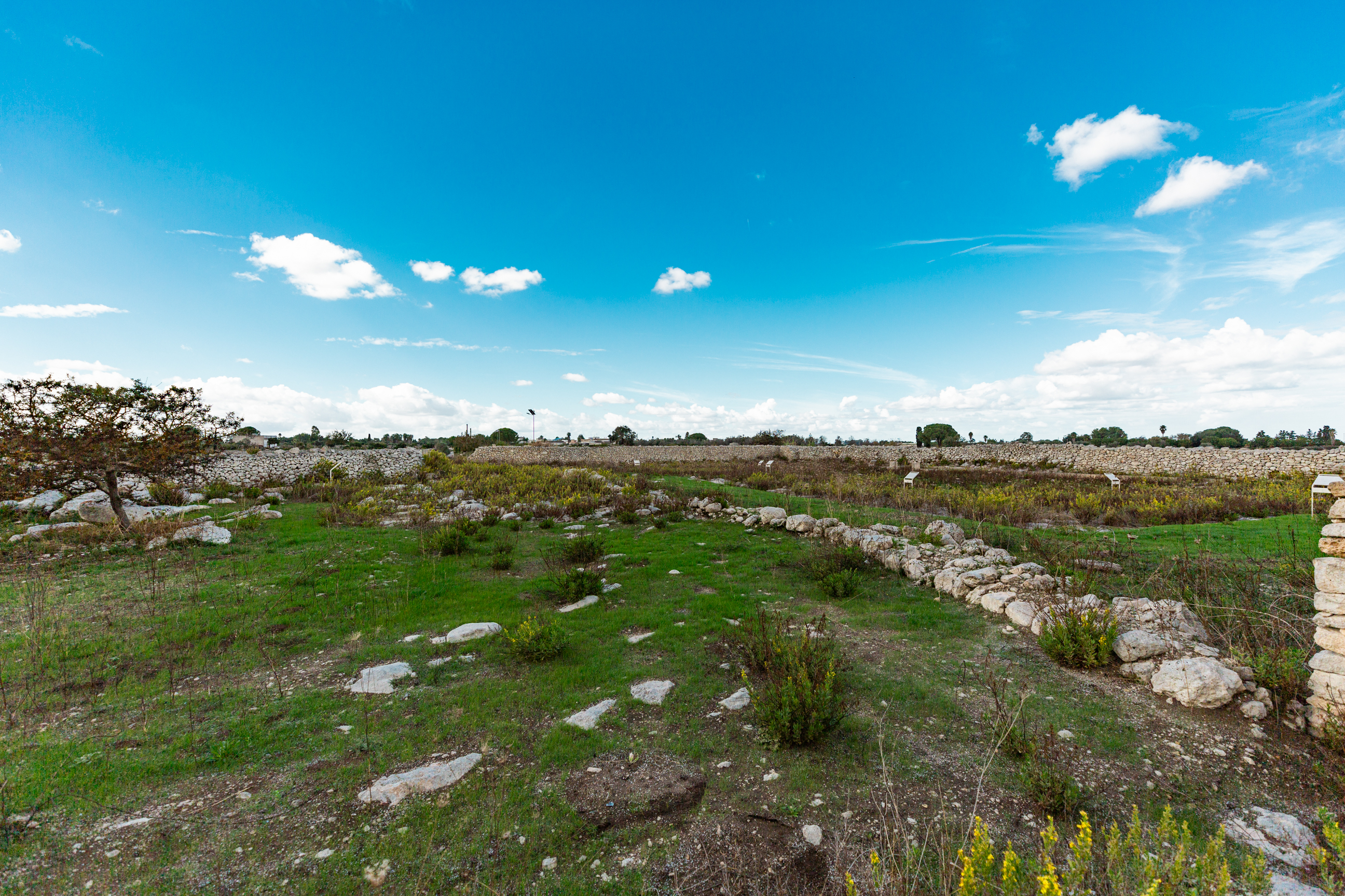 insediamento, Area archeologica di Pozzo Seccato