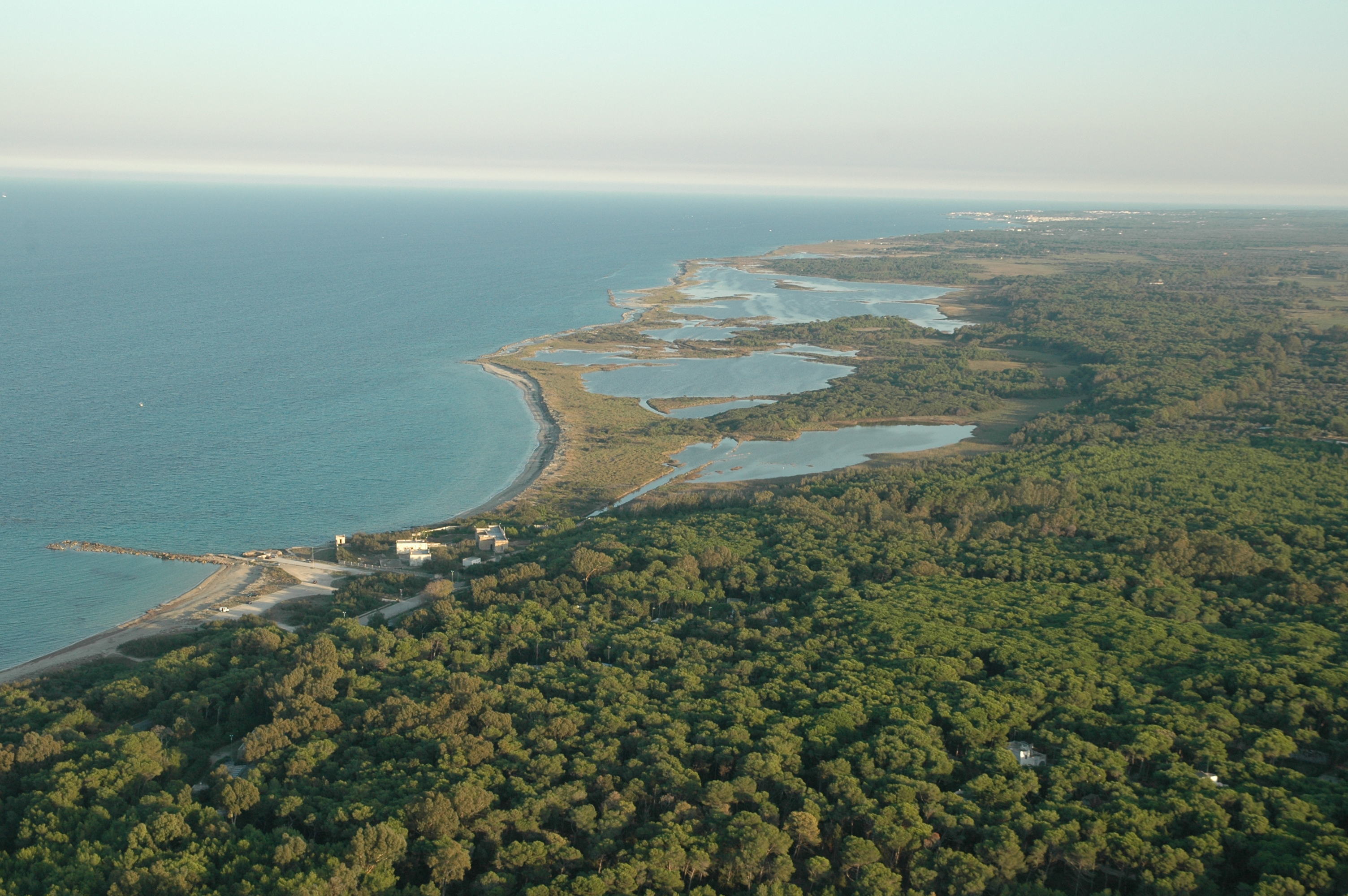 parco, naturale, Riserva Naturale delle Cesine