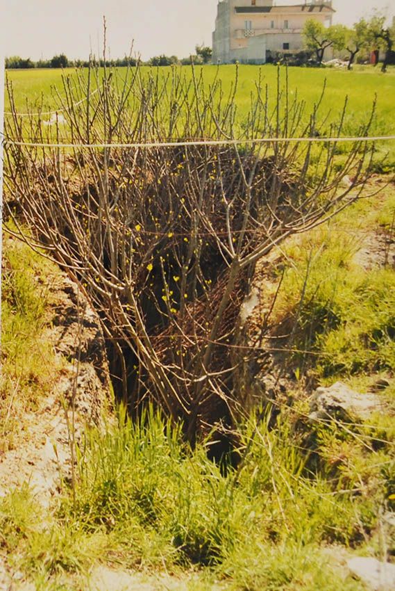 Tomba n. 3 in loc. Candile