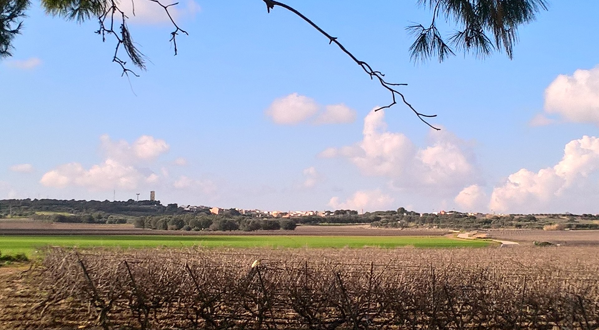nucleo storico, collinare, agricolo, difensivo, Roccaforzata, Rocca Vecchia , Rocca Nuova , Roccaforzata
