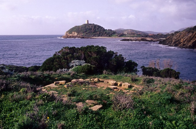 Bithia