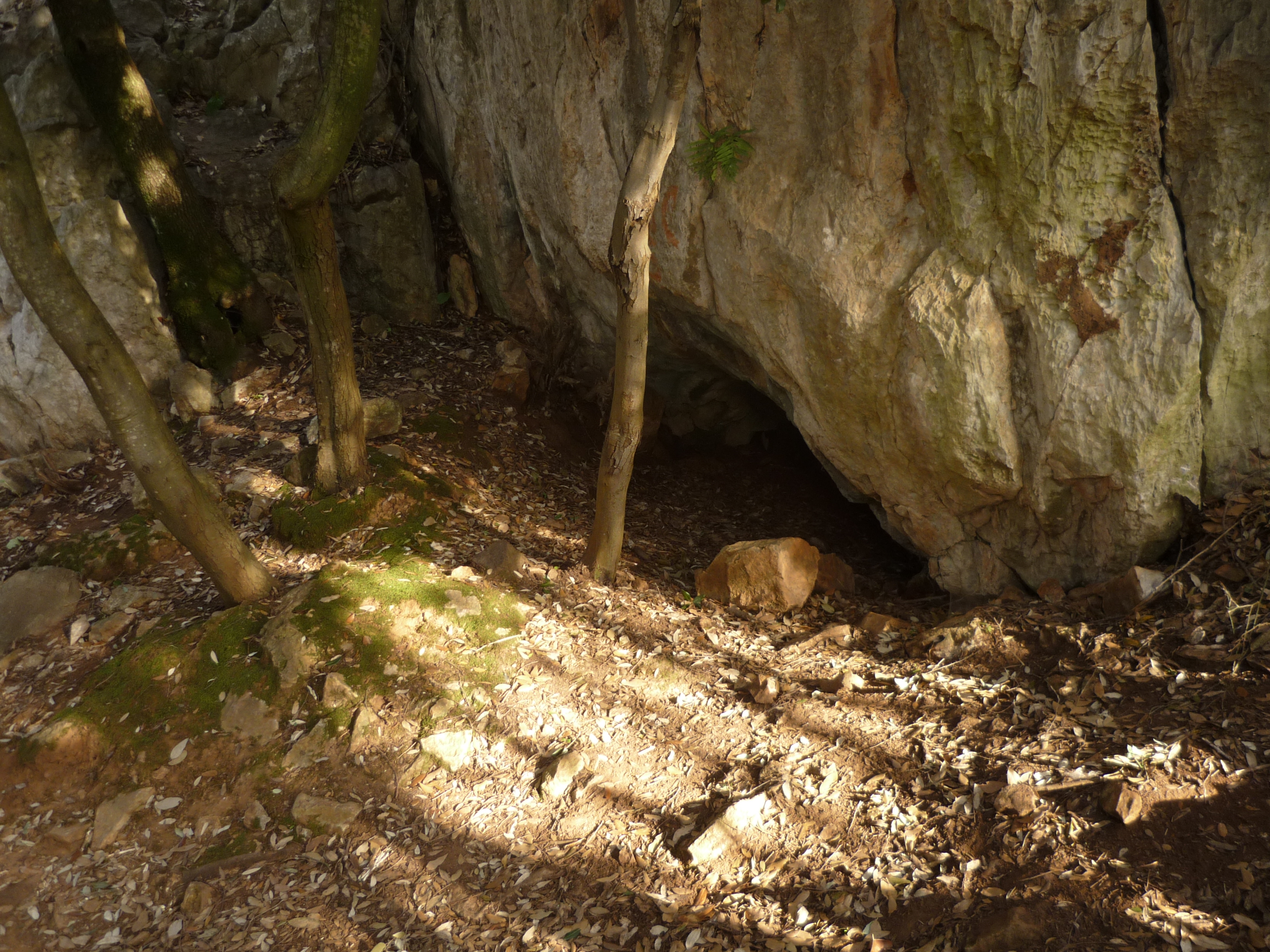 Grotta della Volpe