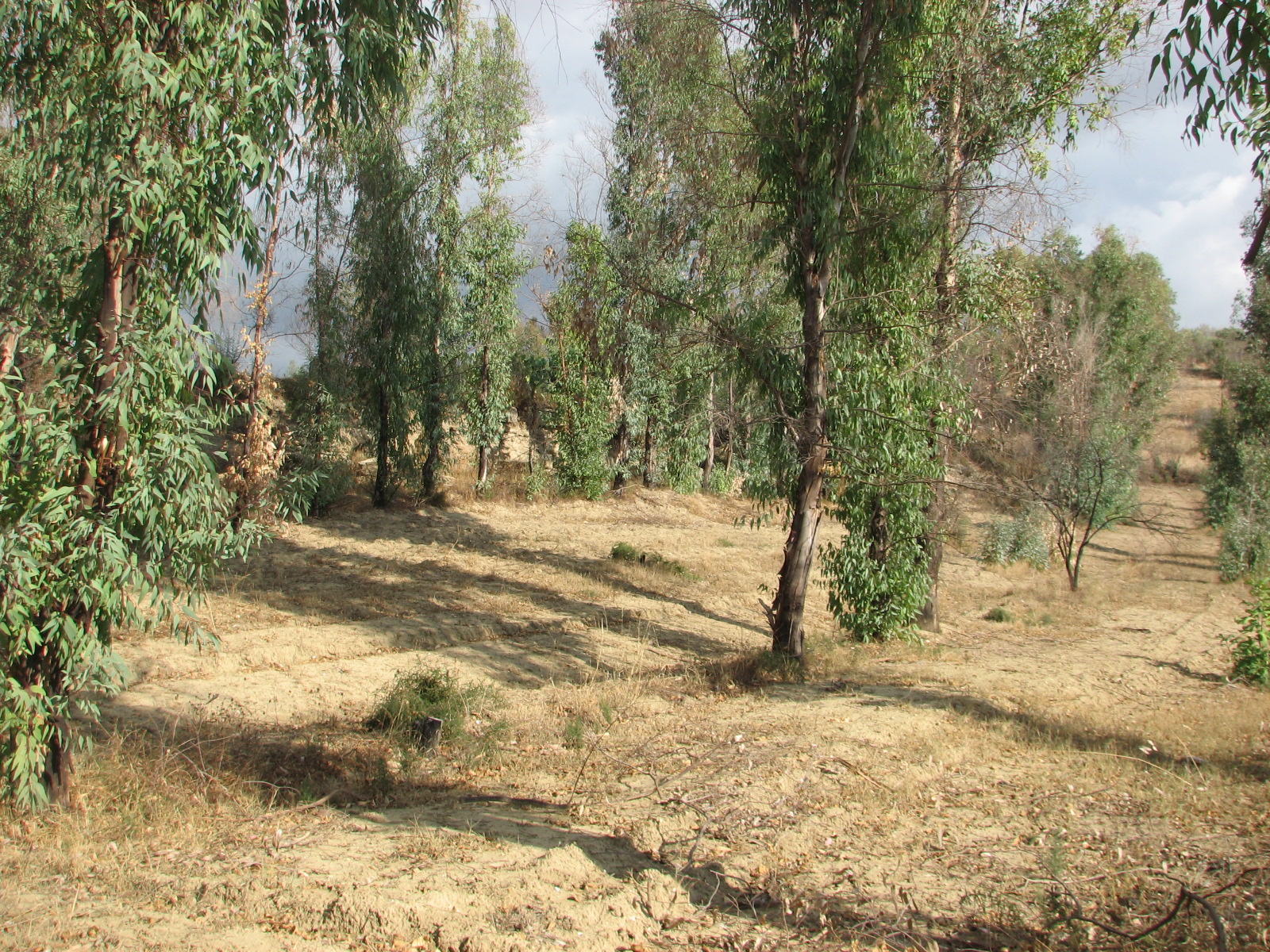 Tombe Paxi