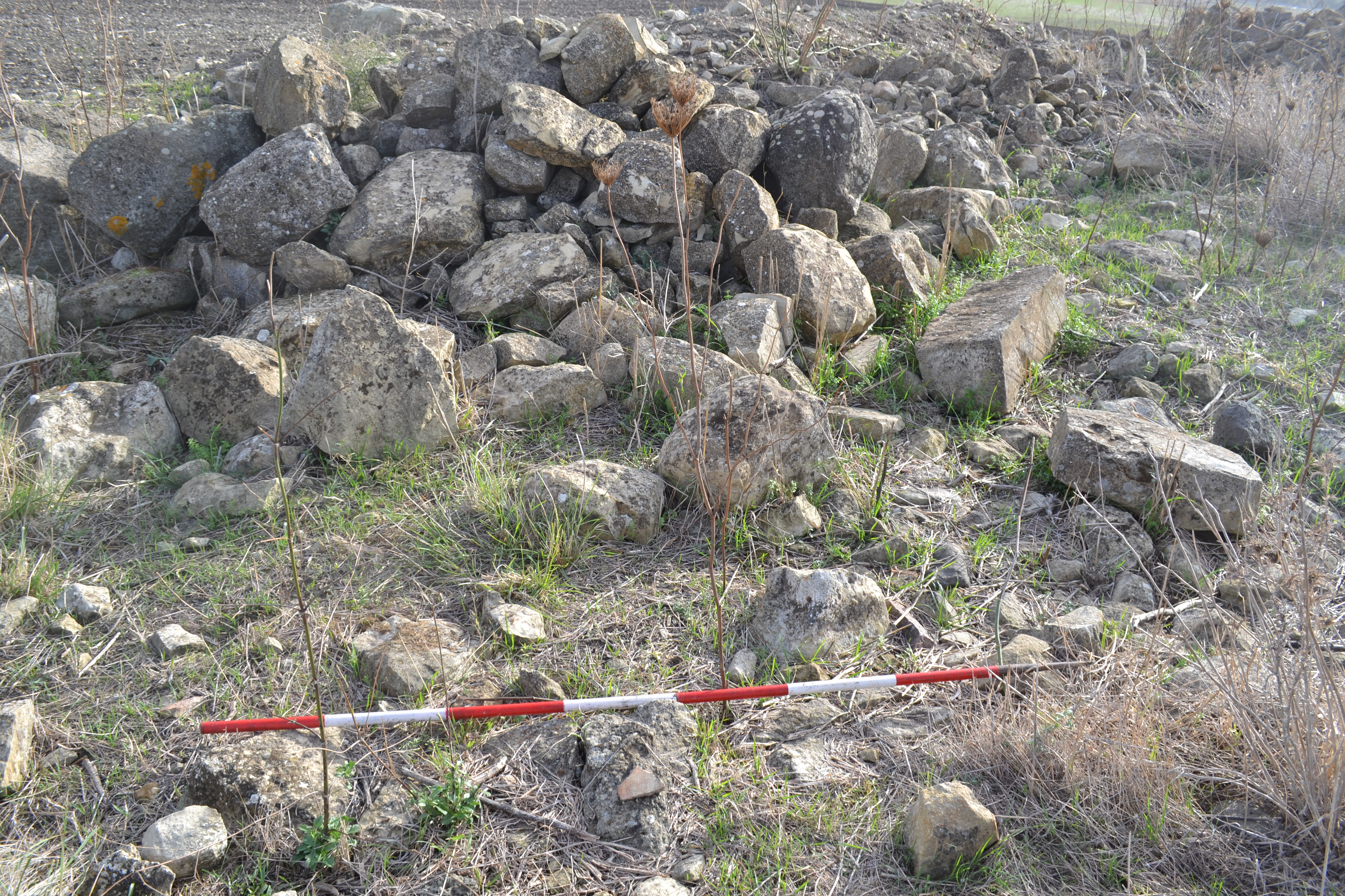 Nuraghe e abitato di Pranu Amis