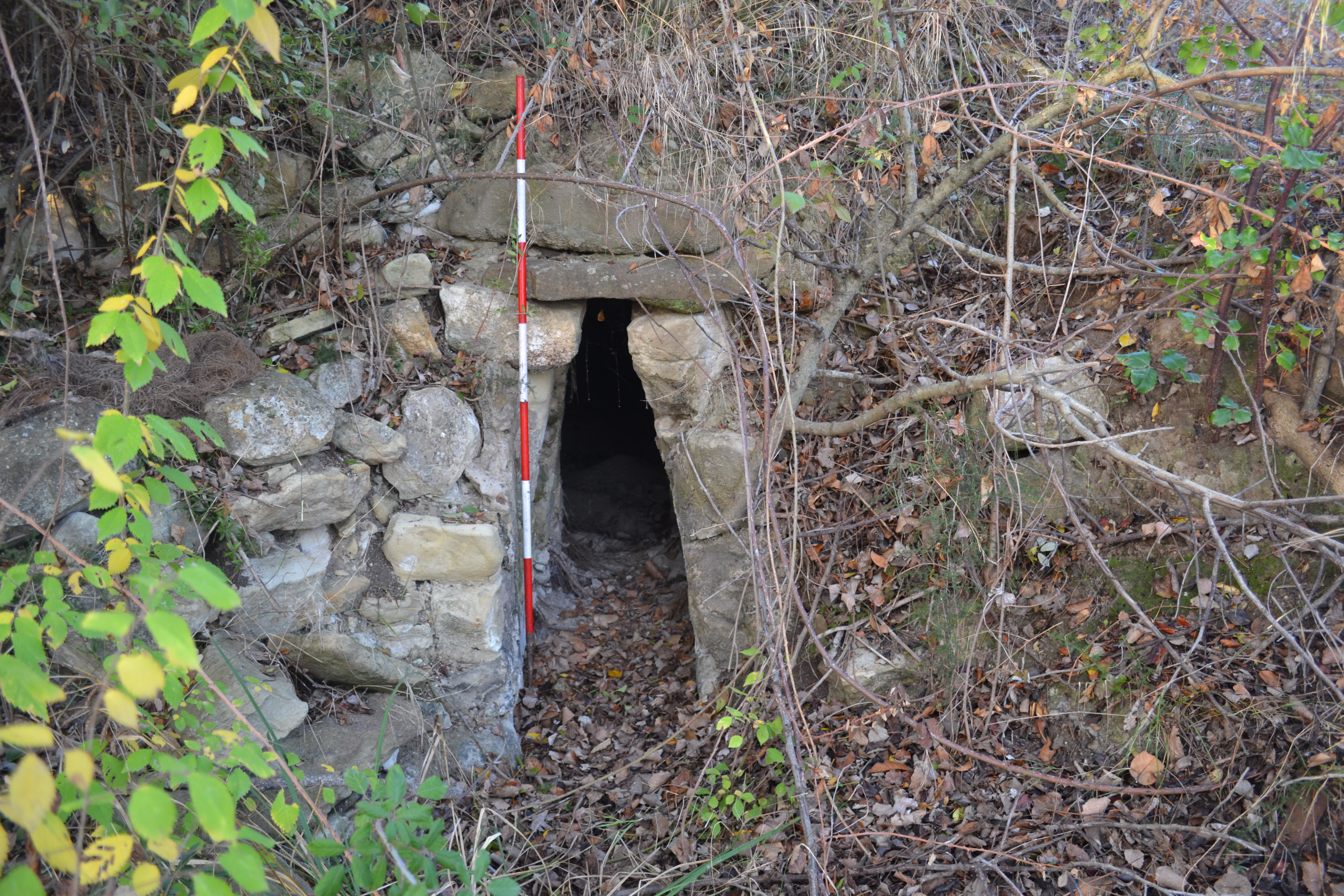 Fonte di Monti Essi