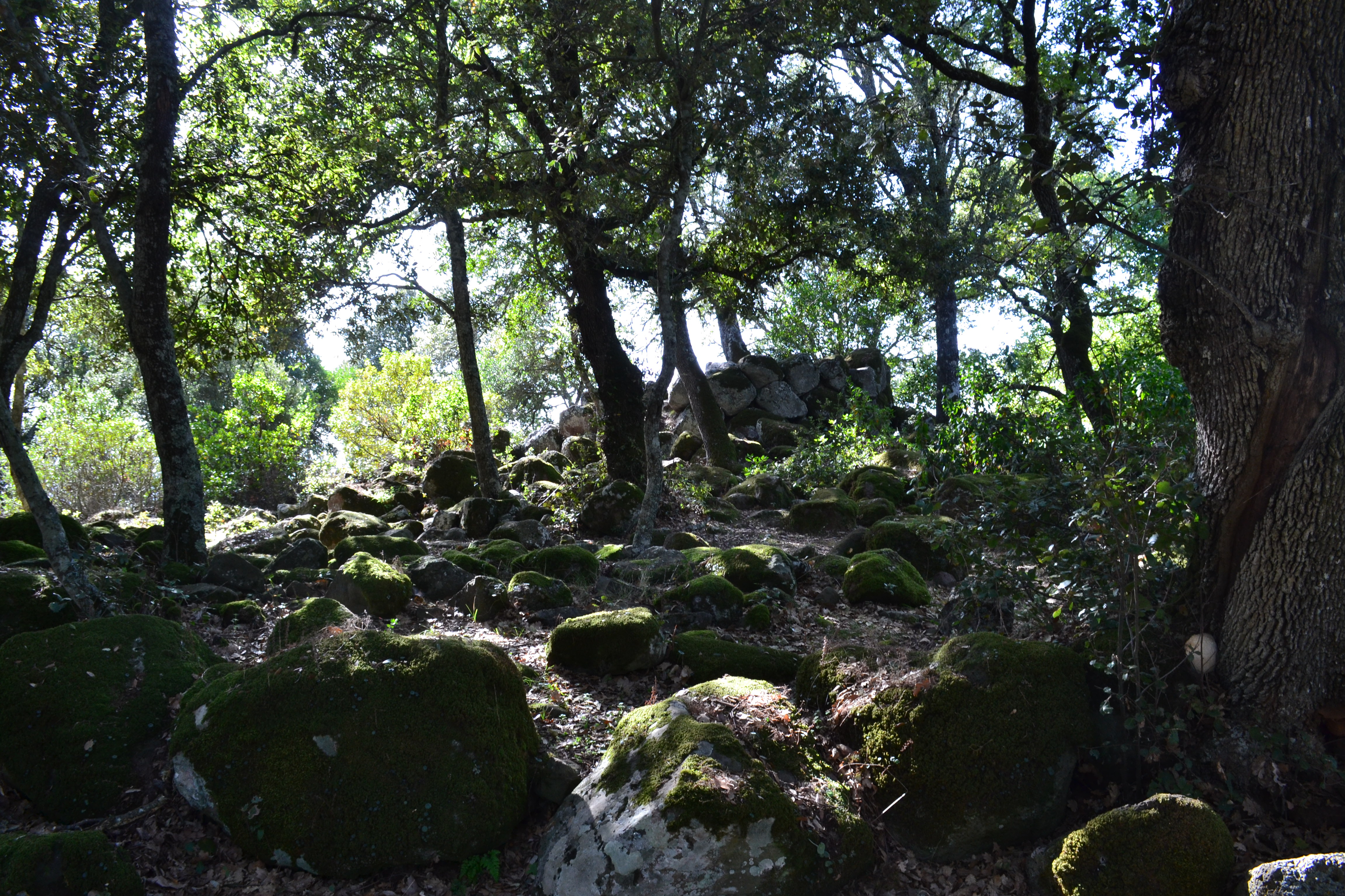 Nuraghe Tutturuddu