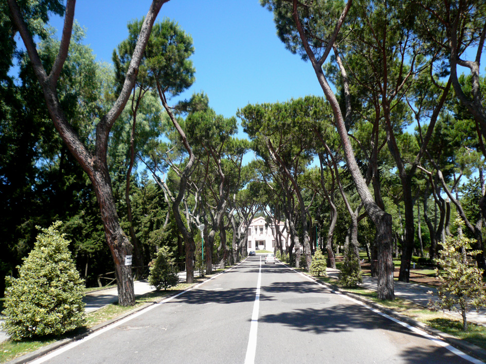 Complesso Ospedaliero Cesare Zonchello e parco