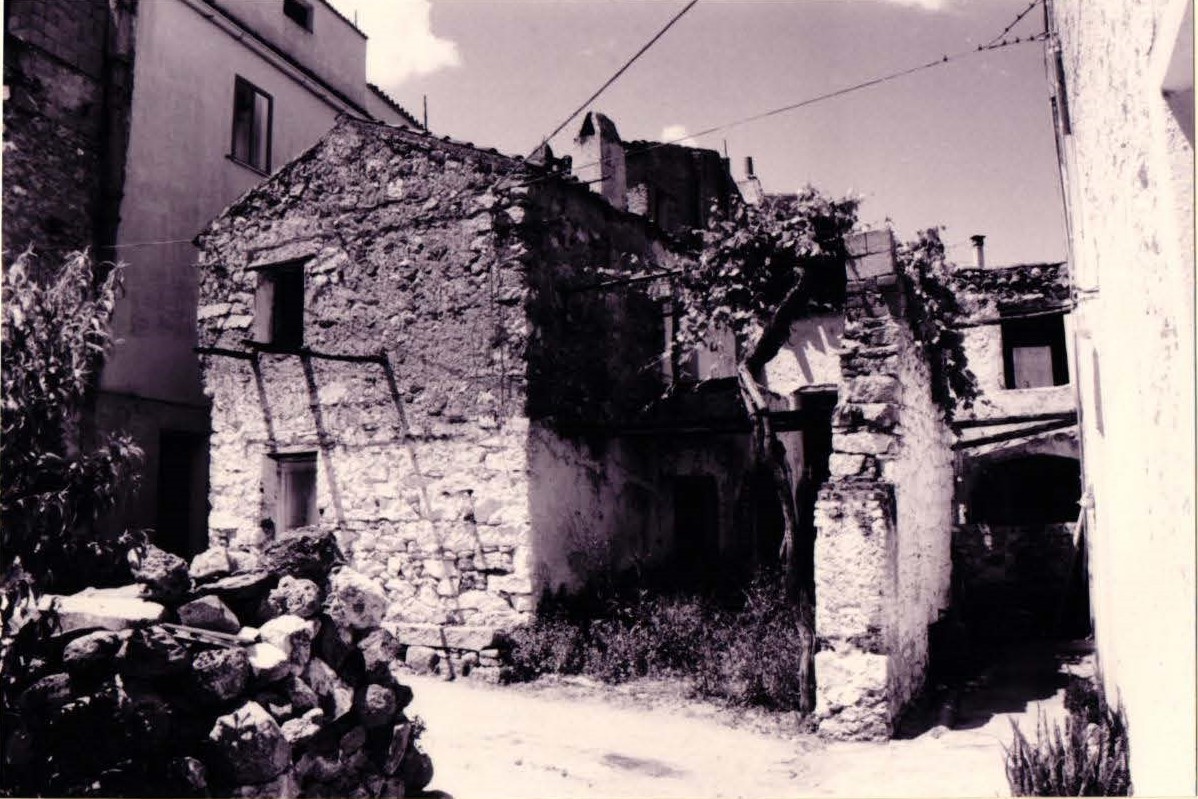 Casa pluricellulare