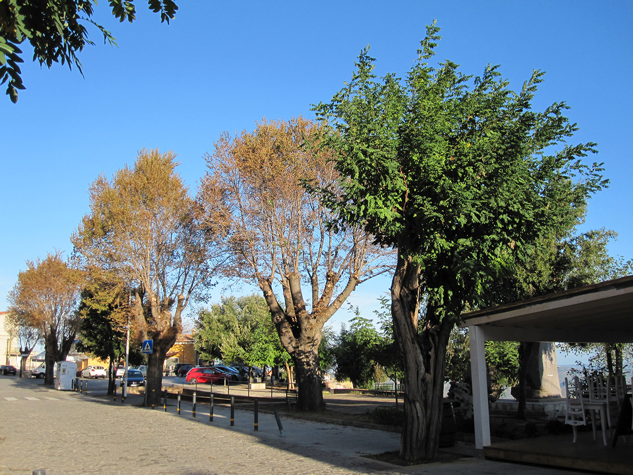 Parco delle Rimembranze di Orgosolo , Piazza Caduti in guerra