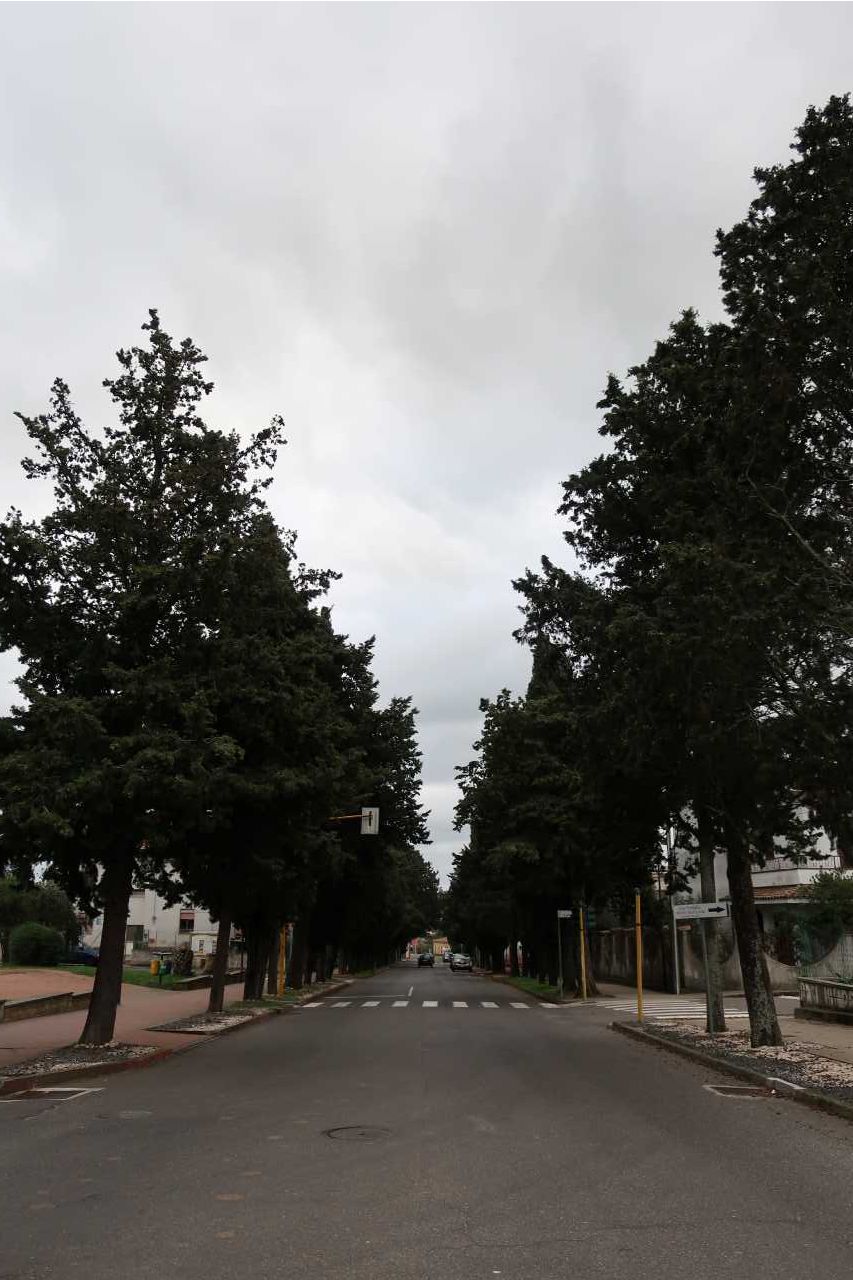 Viale delle Rimembranze di Ghilarza