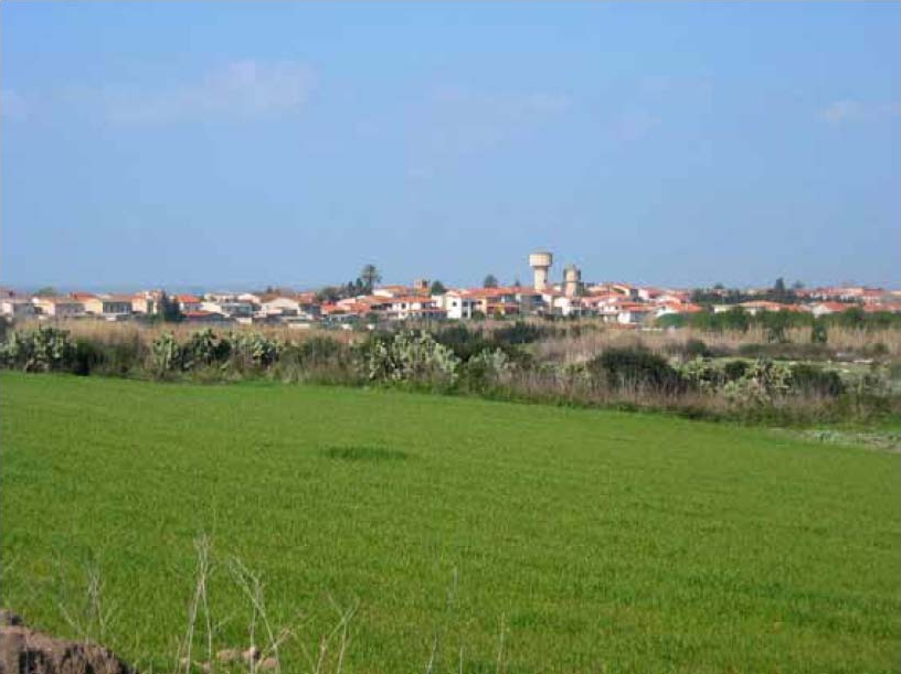Gribaia