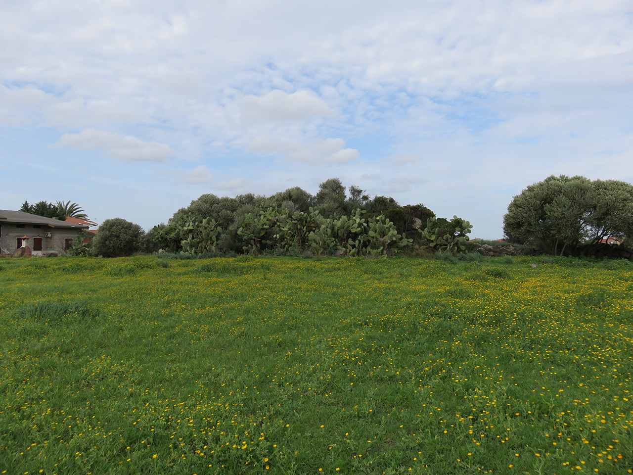 Nuraghe Bentu 'e Crobis