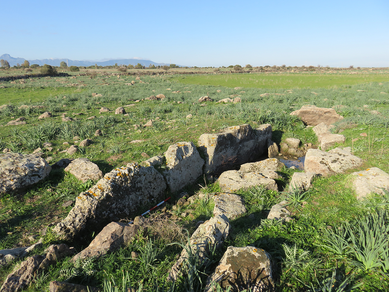 Tomba di giganti Serdis
