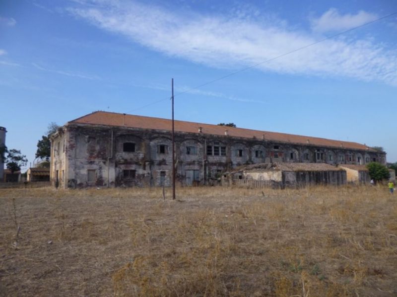 Azienda agricola di Surigheddu