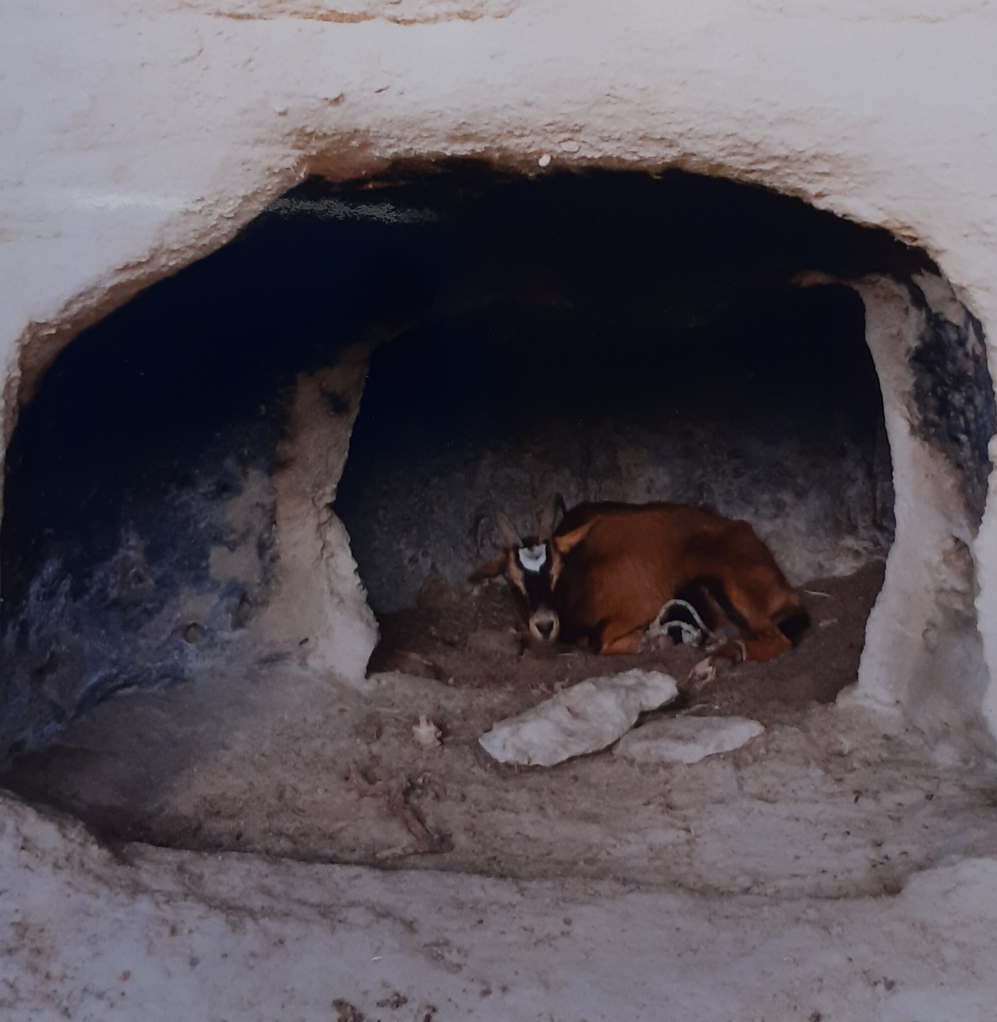 Domus de janas di sa Tanca de su Crabione