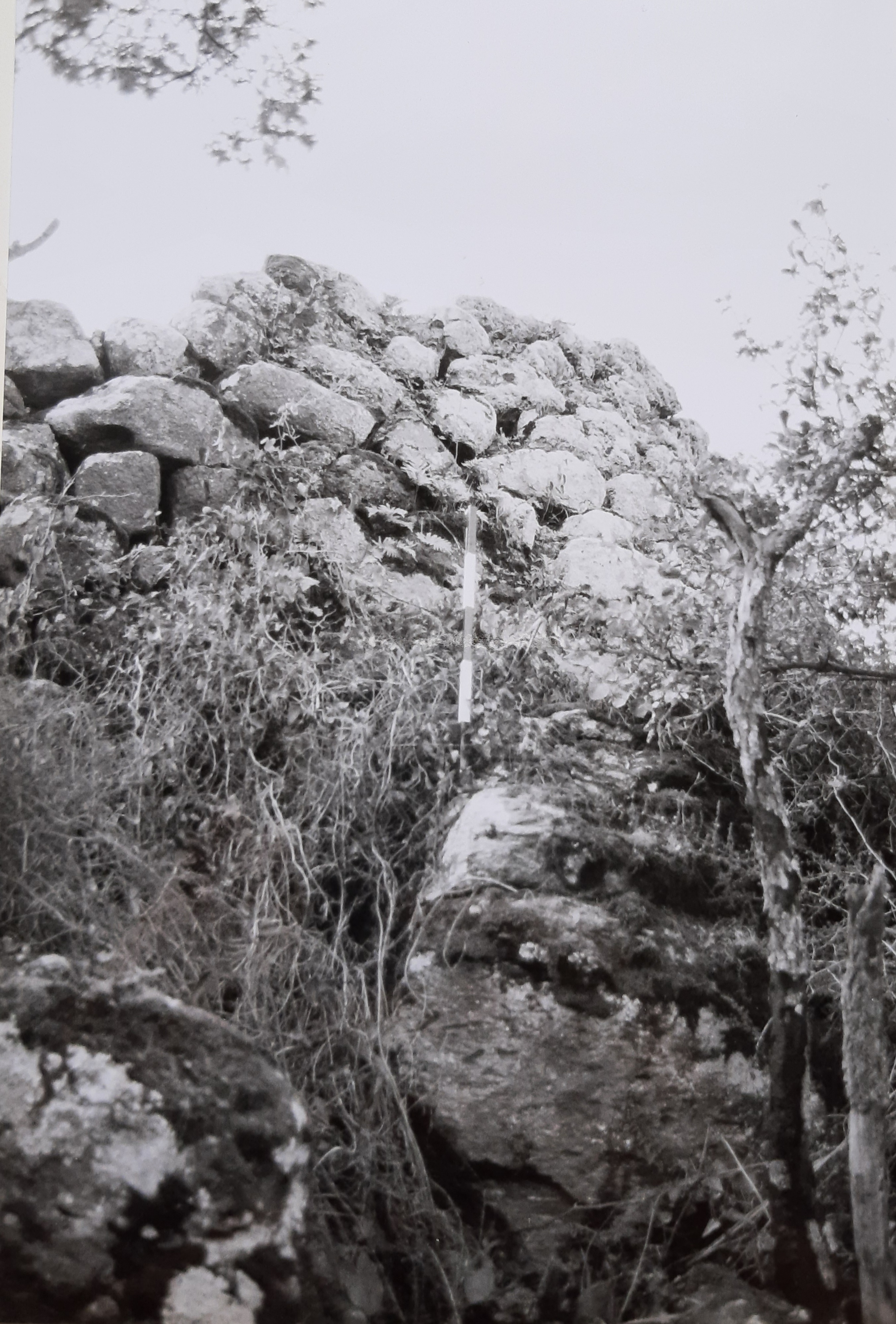 Nuraghe Corona Alta