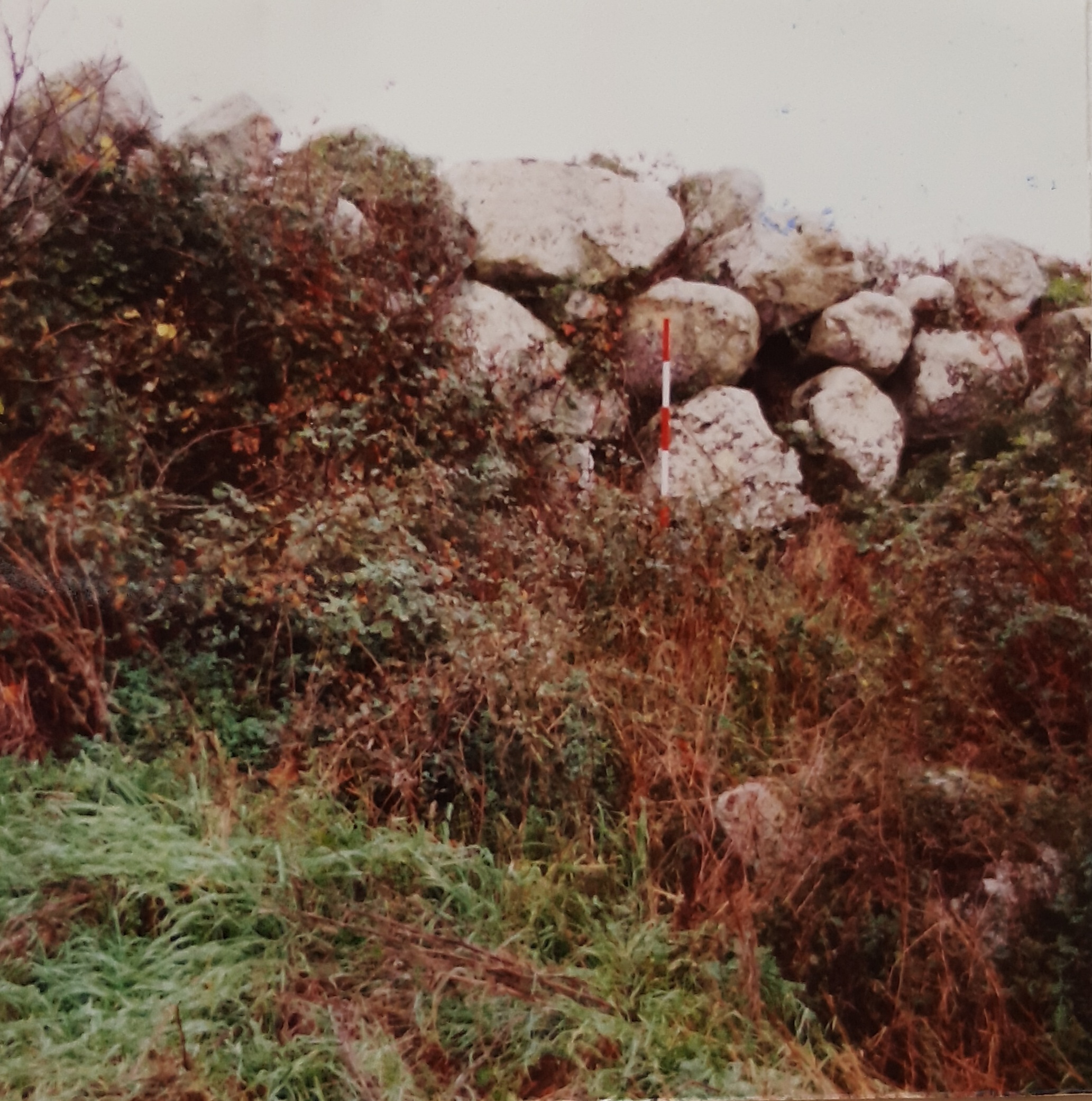 Nuraghe Sa Tanchitta