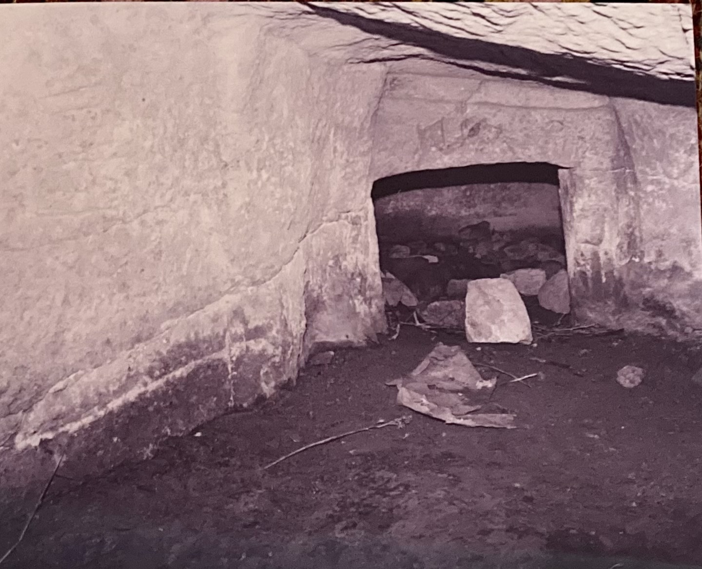 Domus de Janas Sa Menta I