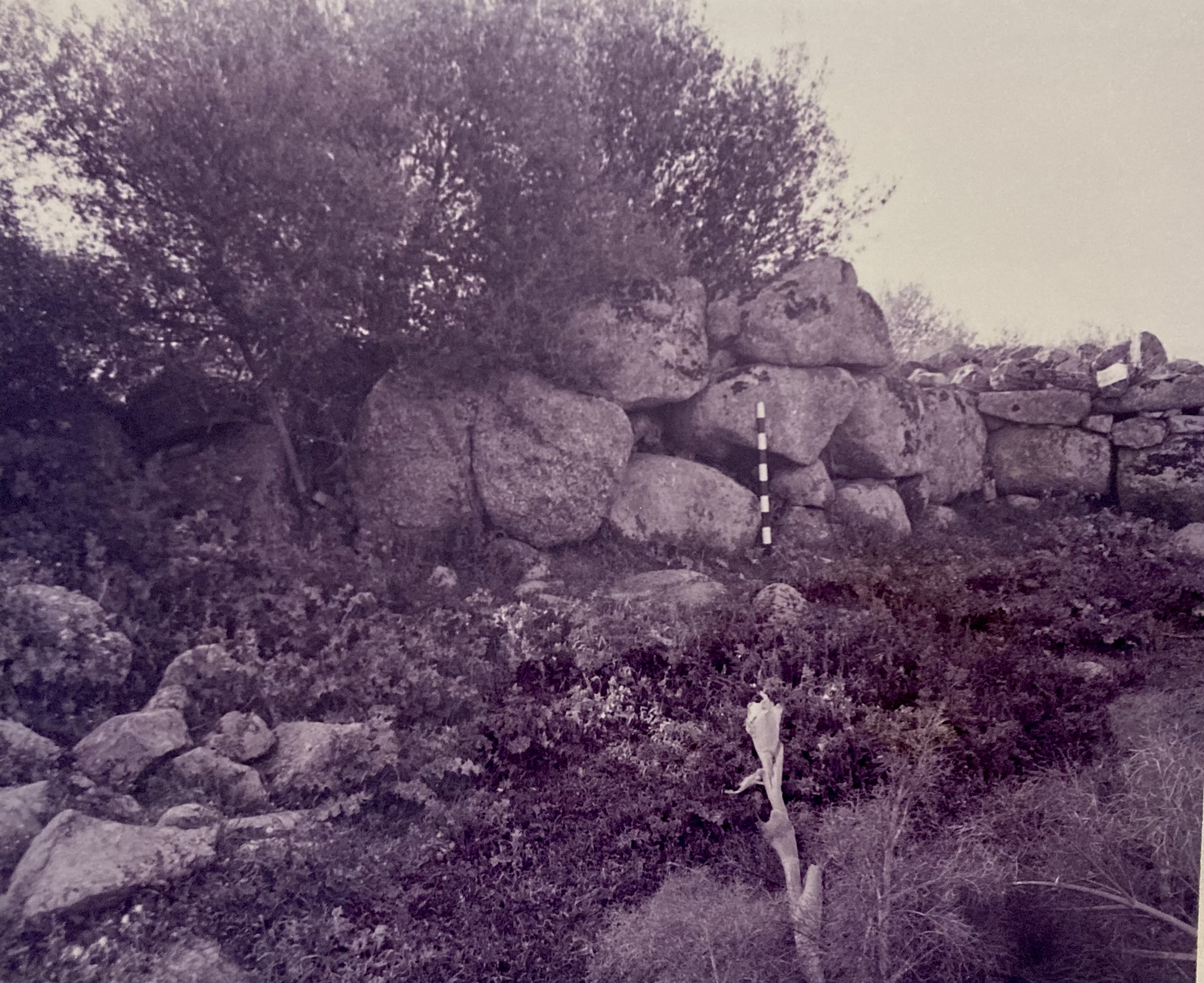 Nuraghe Puddighinu basso