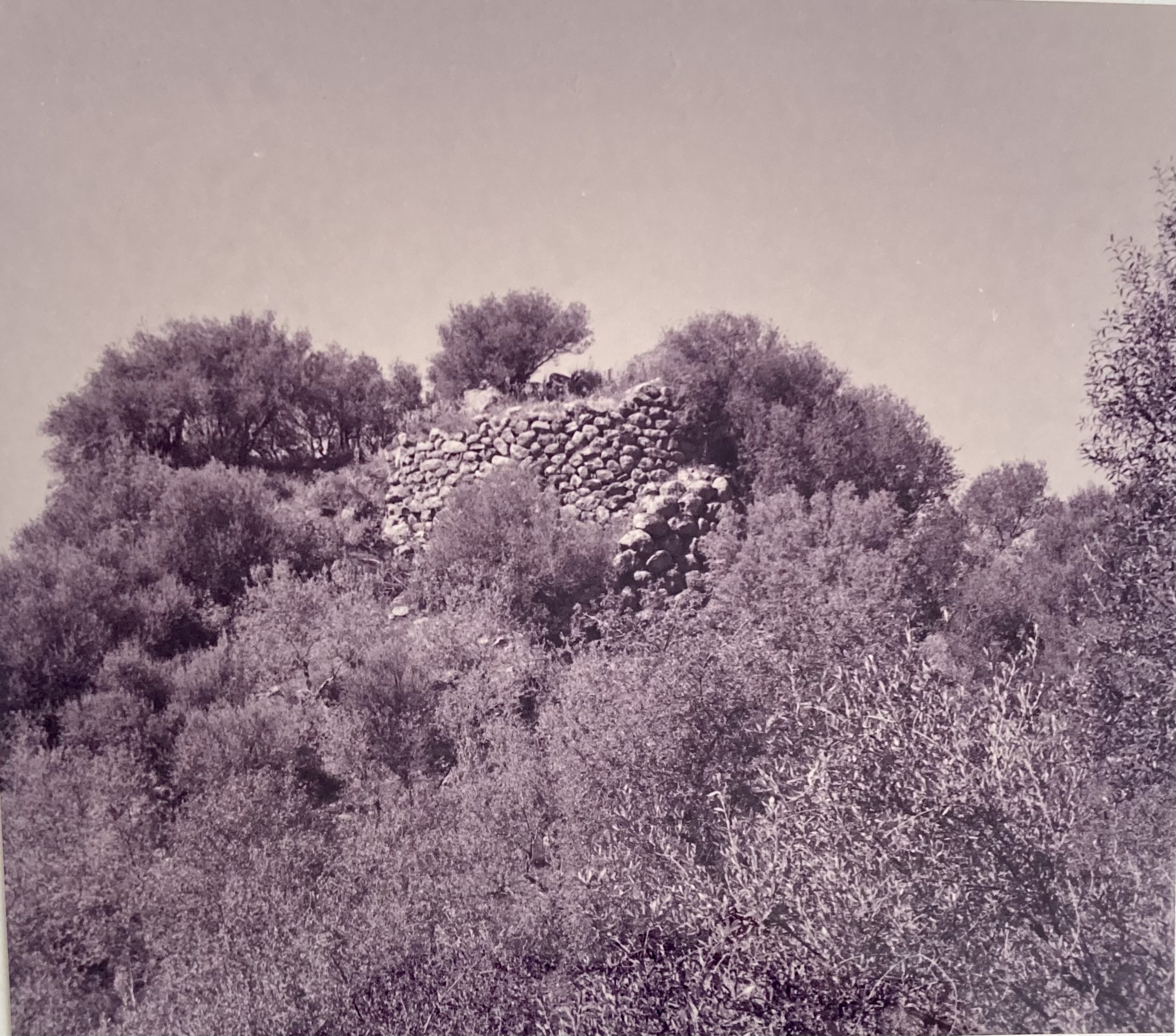 Nuraghe S'Aspru. Polilobato