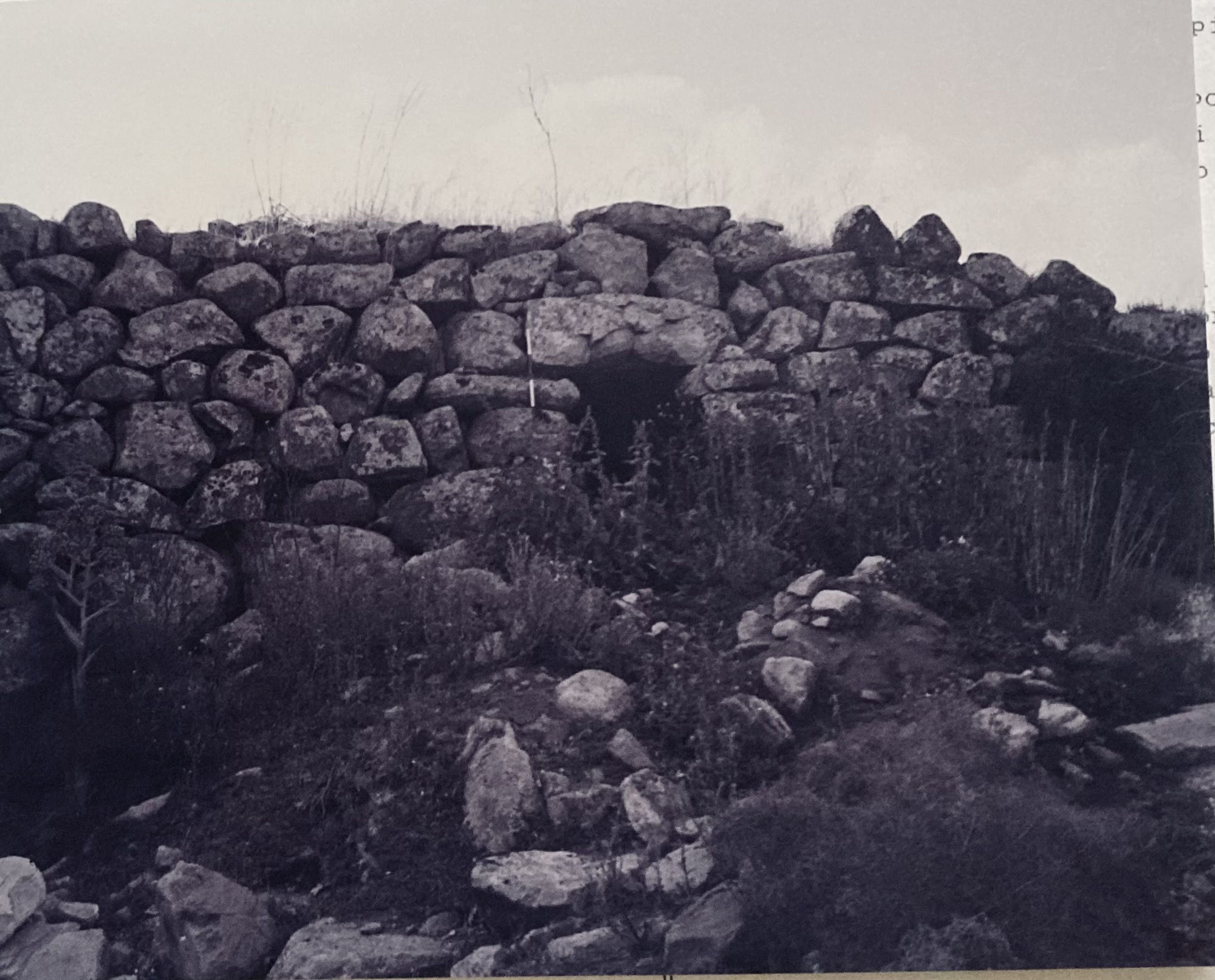 Nuraghe Torodda. Polilobato