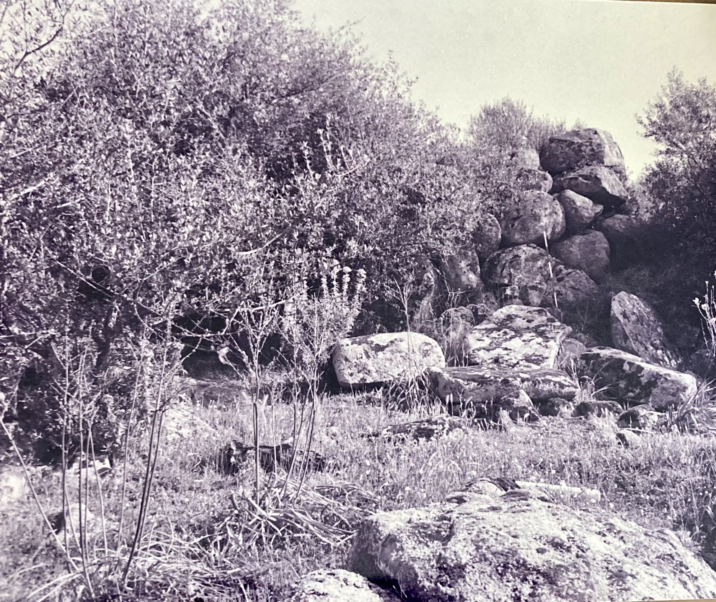 Nuraghe Urchi od Ogoro. Monotorre