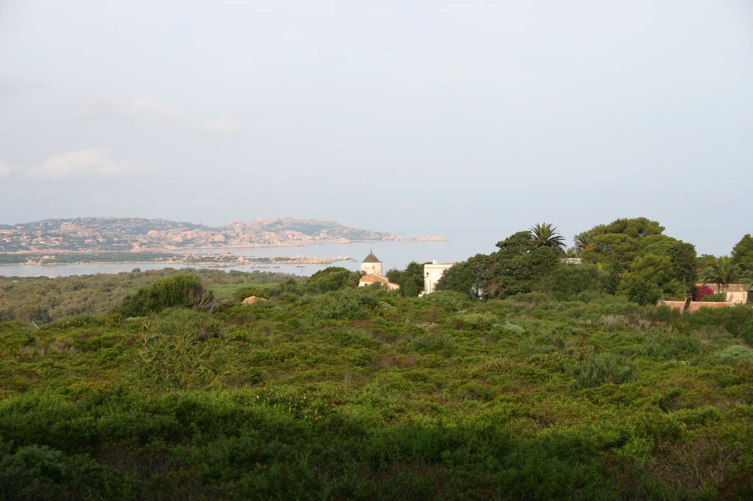 Primo Mulino
