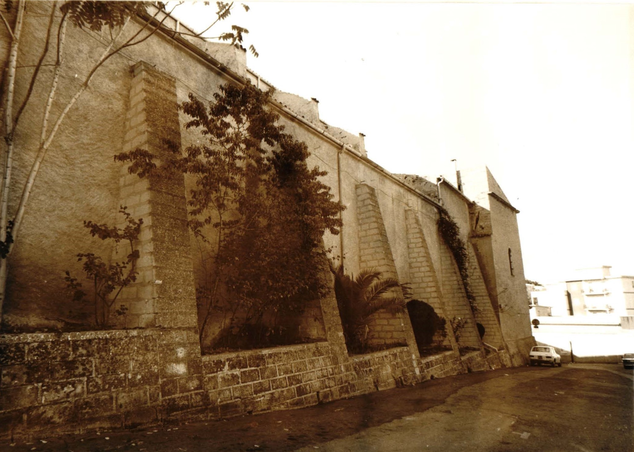 Biblioteca comunale