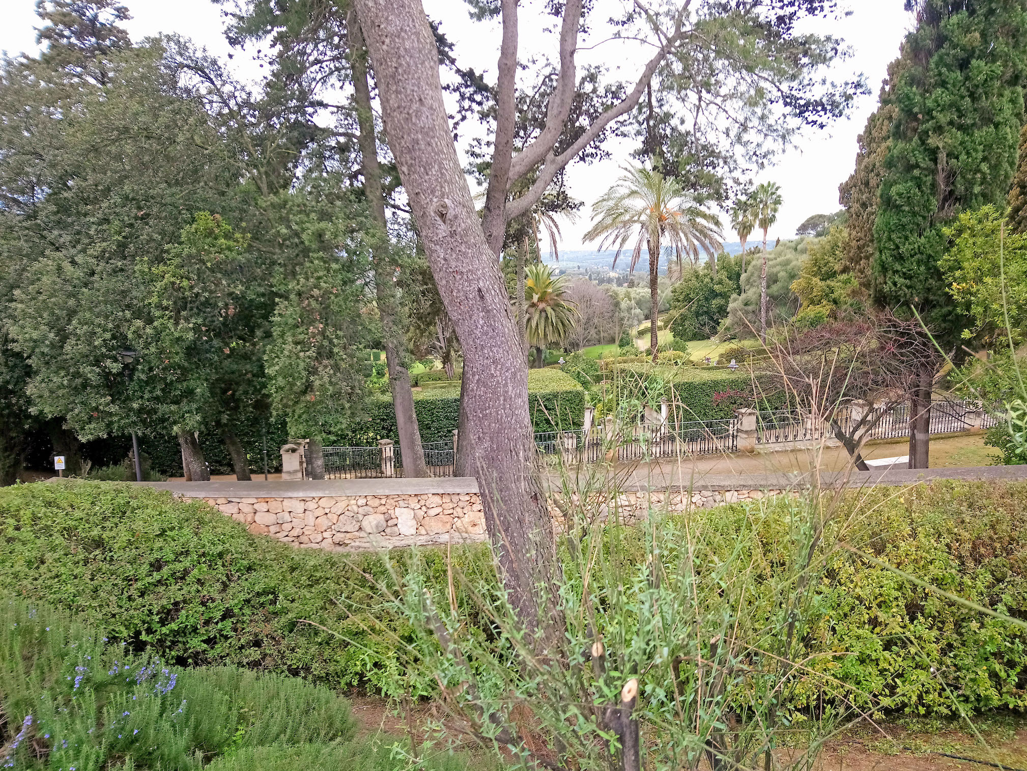 Parco di Monserrato