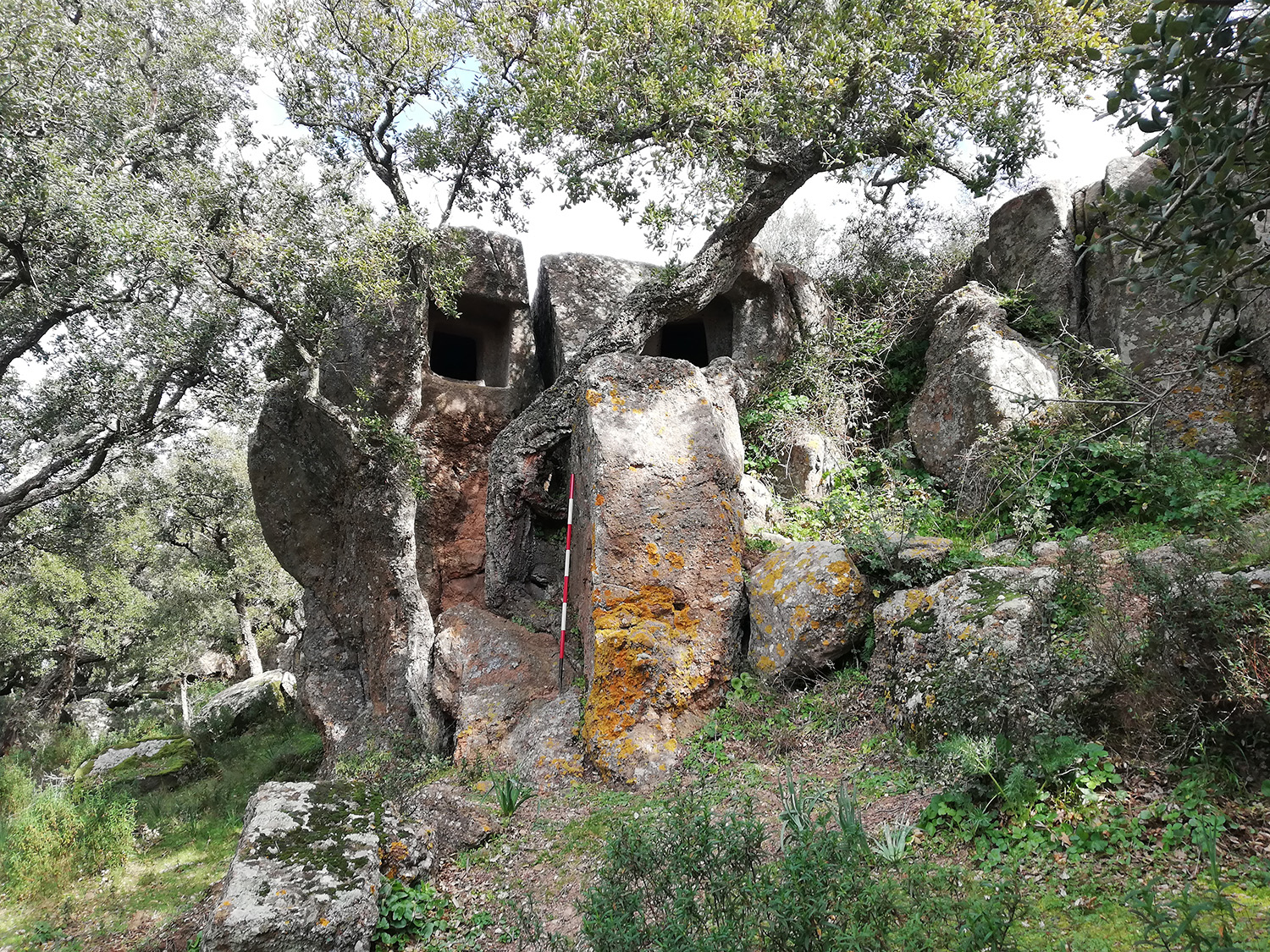 Domus de Janas Is Concas de Tziu Peppi o Serrionis