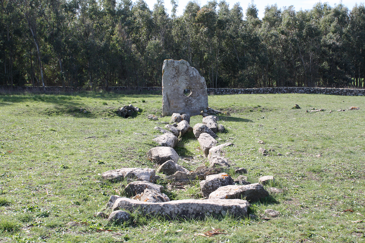 Tomba dei giganti Su Cuaddu de Nixias