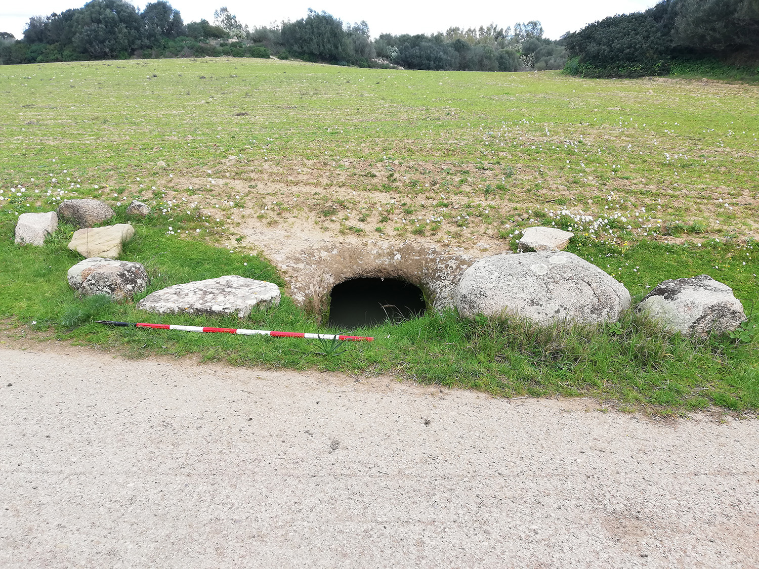 Domus de janas Corongiu II