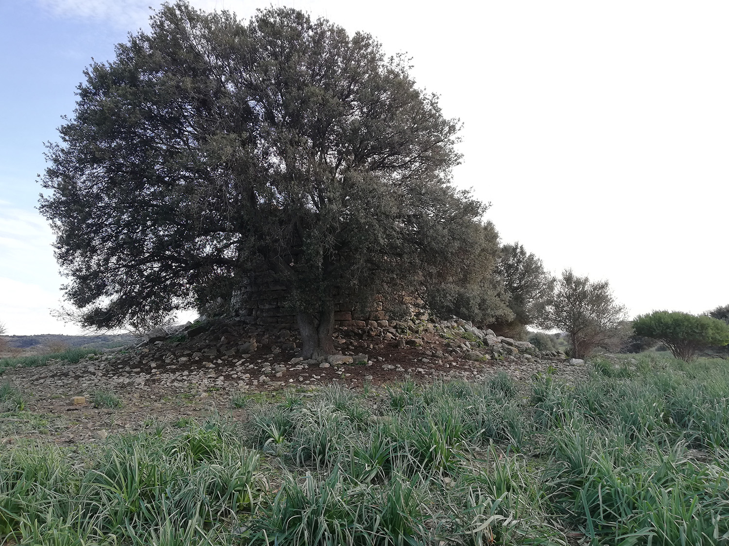Nuraghe Sisini