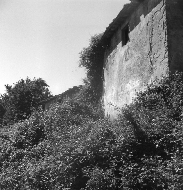 Casa colonica di Seggiano